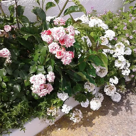 Prombona Petrino Spiti Apartment *