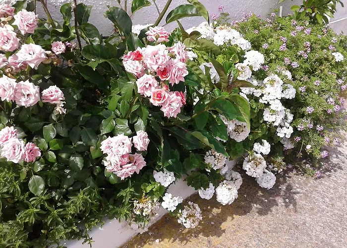 Prombona Petrino Spiti Apartment *